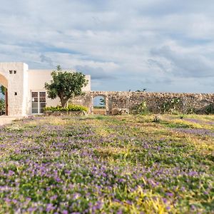 Masseria Vaccaro By Raro Villas - Self Check-In